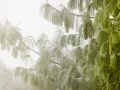 le-froid-approche