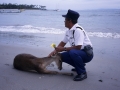 poupel-le-gendarme-de-lombok
