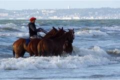 www.regardsetimages.fr-87ieme-a-hebert-bain-de-mer-43pts