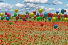 016 LARGETEAU Philippe 99 ballons