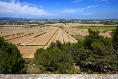 A Cossard - Etang de Montady