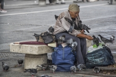 D Le Grain La femme aux pigeons