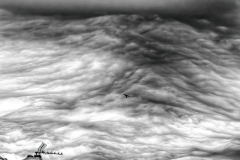 www.regardsetimages.fr-485ieme-damien-patard-avant-l-orage-36pts