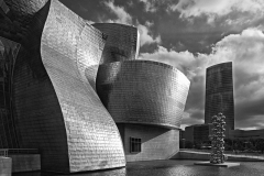 19ième D Poupel Guggenheim Bilbao 47Pts