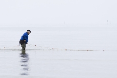 www.regardsetimages.fr-673ieme-claire-reydel-des-poissons-verifions.-34pts