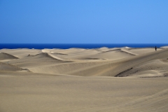 179ième A HEBERT Dunes aux Grandes Canaries 35Pts