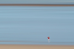 www.regardsetimages.fr-17eme-damien-patard-seule-sur-le-sable-46pts