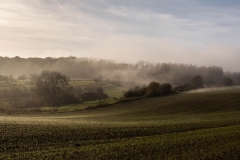 www.regardsetimages.fr-76eme-didier-le-grain-tot-le-matin-37pts