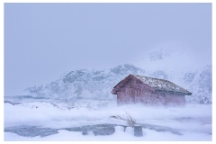 www.regardsetimages.fr-84-laurence-trefier-blizzard